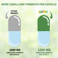 Caralluma Fimbriata 1200mg – 60 Veggie Capsules