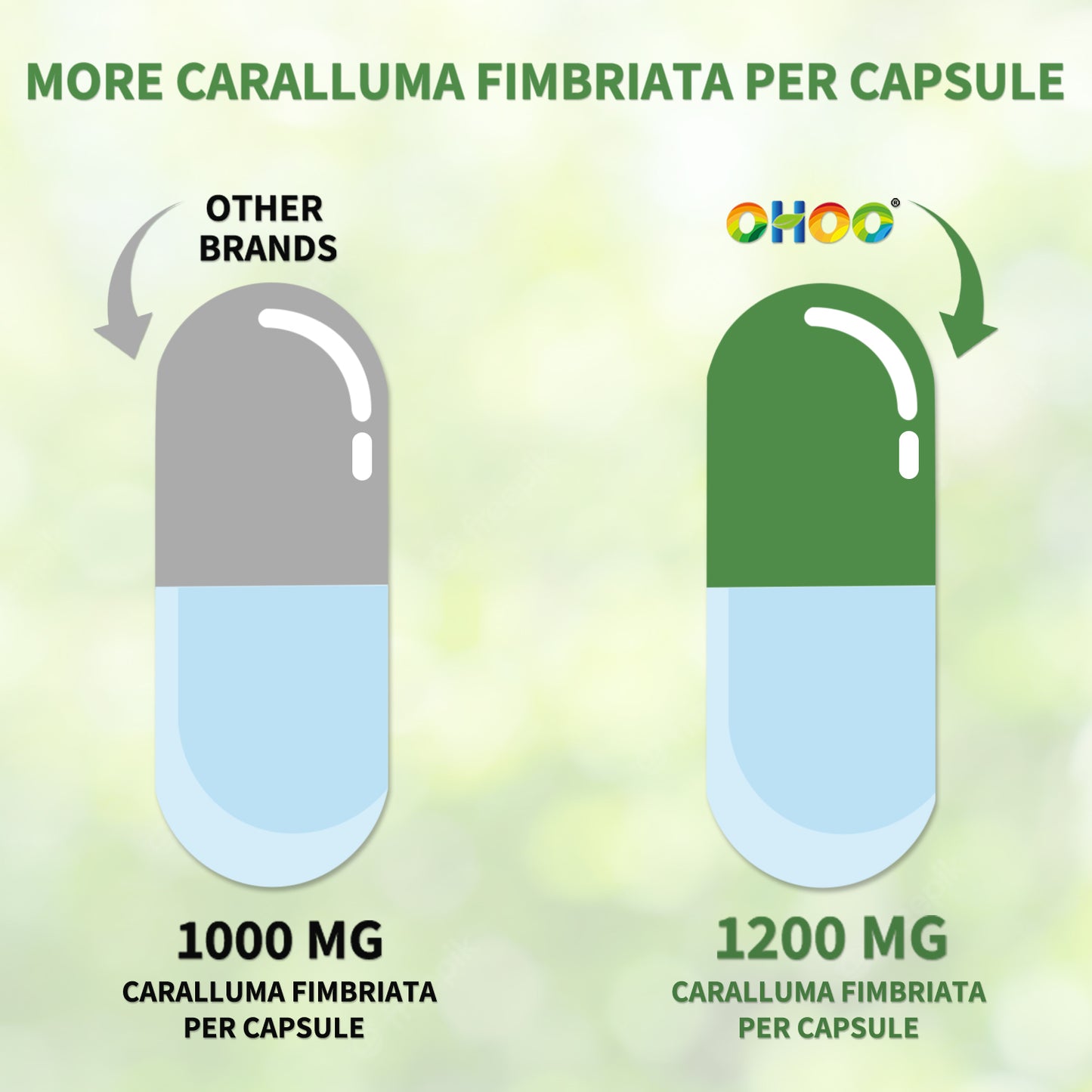 Caralluma Fimbriata 1200mg – 180 Veggie Capsules