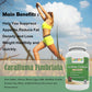 Caralluma Fimbriata 1200mg – 60 Veggie Capsules